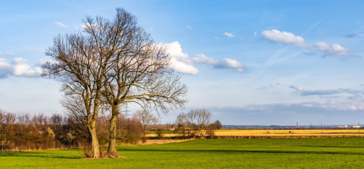 Nog 81 dagen Nog 81 dagen