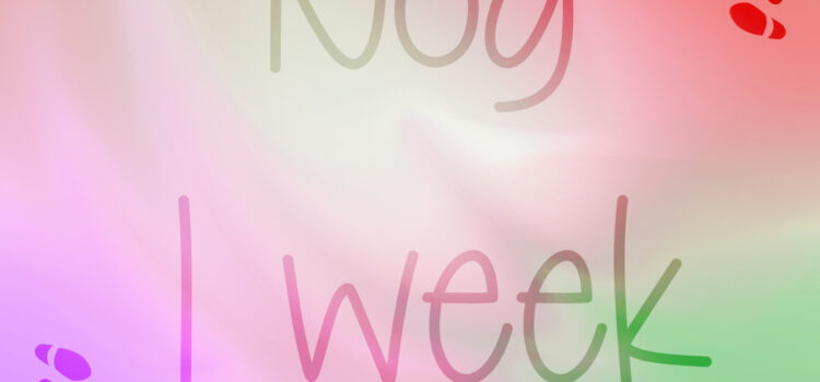 Nog 1 week Nog 1 week