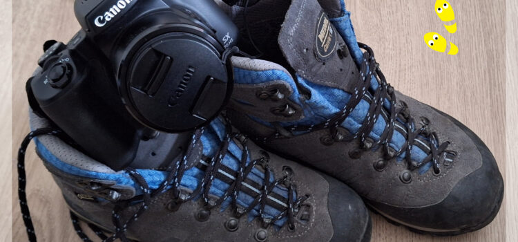 Foto’s insturen Foto’s insturen